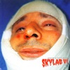Skylab VI