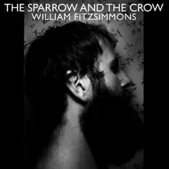 The Sparrow and the Crow - William Fitzsimmons