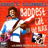 Baddest Cat On the Block artwork