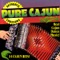 Big Texas - The Cajun Playboys lyrics