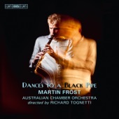 21 Hungarian Dances, WoO 1 (arr. G. Frost): No. 12. Presto artwork