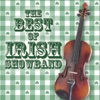 Irish Showbands - Ireland Swings