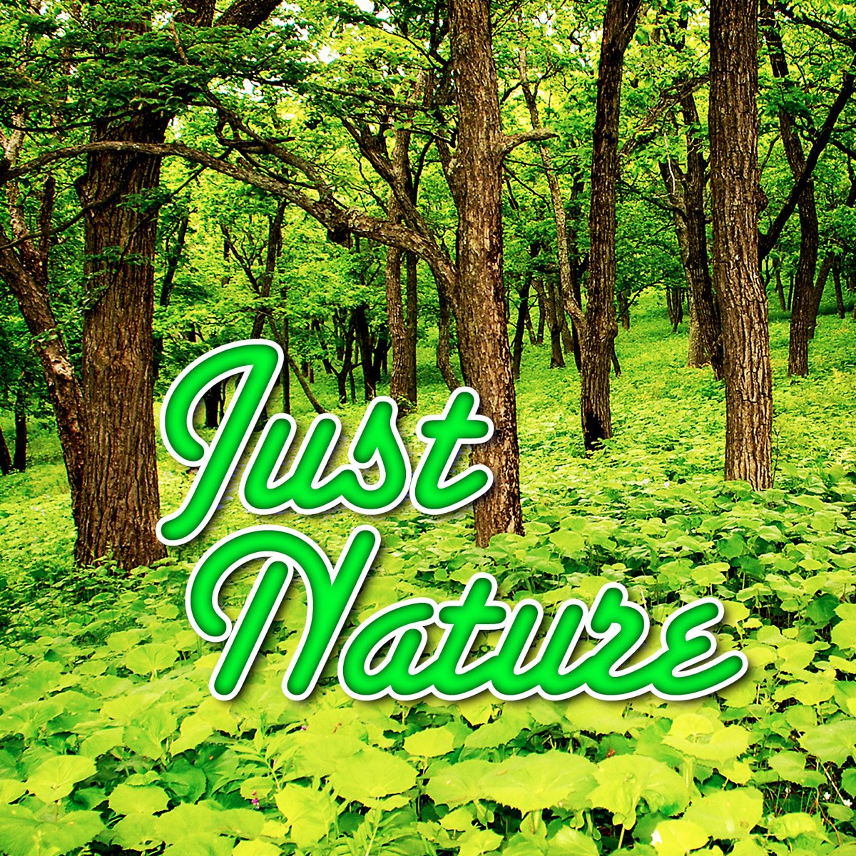 Natural last. Аудио звуки природы. Звуки природы обложка. Обложка альбома природа. Панель звуки природы.