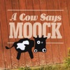 A Cow Says Moock