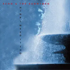 Think I Need It Too - Single - Echo & The Bunnymen