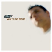 You're Not Alone artwork