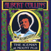 The Iceman at Mount Fuji (Live 1992) - Albert Collins and The Ice Breakers