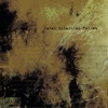Fallen - Single