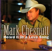 Mark Chesnutt - A Day In the Life of a Fool