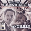 Culto Flamenco: Guitarra de Luis Yanche y Habichuela