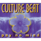 Pay No Mind (Original Radio Edit) artwork