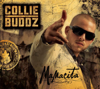 Mamacita - Collie Buddz