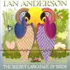The Secret Language of Birds album lyrics, reviews, download