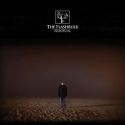 The Flashbulb - Burning the Black And White