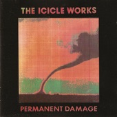 Permanent Damage artwork