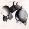 Azrah Illusion/Street Woman - Zanussi Five lyrics