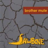 Brother Mule - Here I Am In Love Again