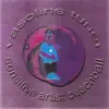 Sensitive Artist Beachball album lyrics, reviews, download