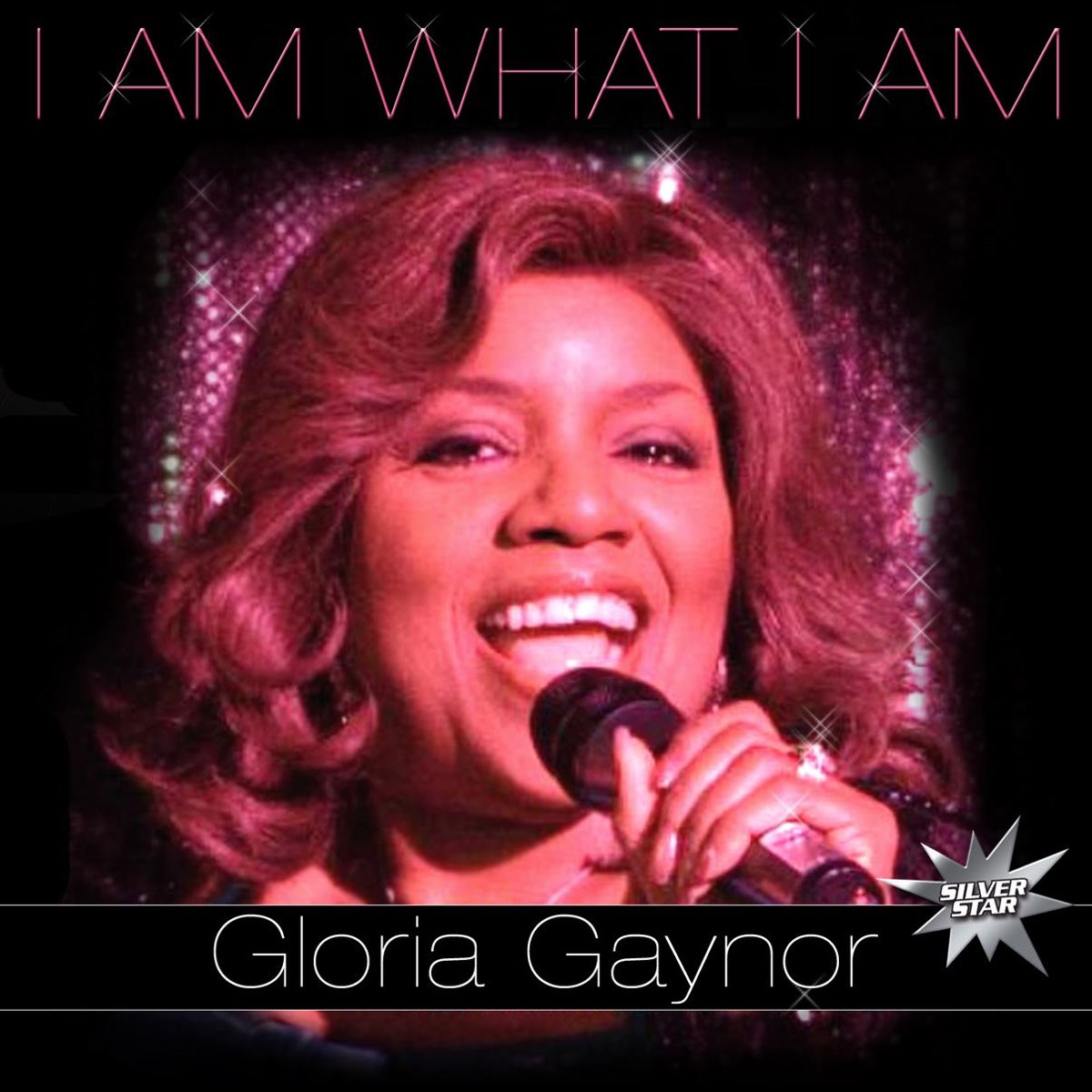 Be a woman gloria gaynor. Gloria Gaynor – i am what i am.