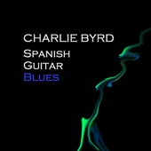 Spanish Guitar Blues artwork