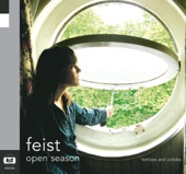 Feist - Inside+Out (Apostle of Hustle UnMix)