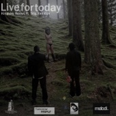 Live For Today ft. Stig Van Eijk artwork