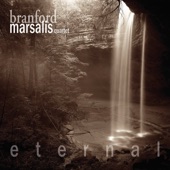 Branford Marsalis - The Lonely Swan