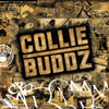 Tomorrow's Another Day - Collie Buddz