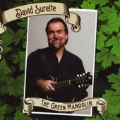 David Surette - The Green Mandolin/Nordicana