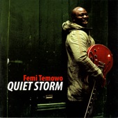 Quiet Storm artwork