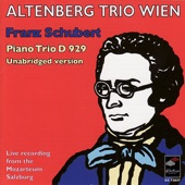 Trio for Violin, Violoncello in E-Flat Major, Op. 100, D. 929 (Unabridged Version): III. Scherzando (Allegro Moderato) artwork