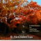A Winter Romance - Mark Edward Lewis lyrics