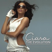 The Evolution artwork