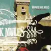 Pull the Brake album lyrics, reviews, download
