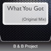 What You Got (Original Mix)