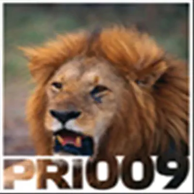 In Your Face / Discorunning - Single - Filo & Peri