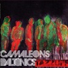 Camaleons Daltònics
