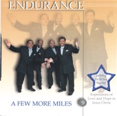 Endurance - A Few More Miles