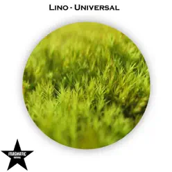 Universal - Single - Lino Universal - Single - Lino