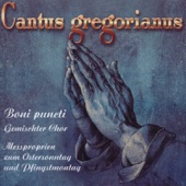 Missa Cum Jubilo - V. Agnus Dei artwork