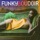 Funky Boudoir-Never Knew Love Like This