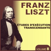 Liszt, Vol. 8: Etudes d'exécution transcendante artwork