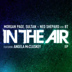 In the Air (Remixes) [feat. Angela McCluskey] - Single - Morgan Page