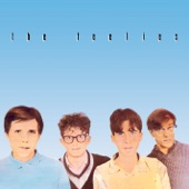 The Feelies - Everybody's Got Something To Hide (Except Me And My Monkey)