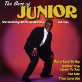 The Best of Junior: Mama Used to Say (Rerecorded Version) artwork