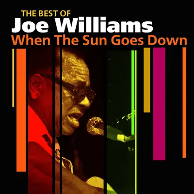 When The Sun Goes Down (The Best Of) - Joe Williams