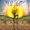 Marti Jones - Sun, Sun, Sun, Sun, Sun