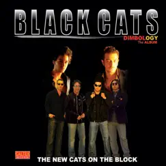 Dimbology - Persian Music by Black Cats album reviews, ratings, credits