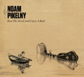 Noam Pikelny - Pineywoods