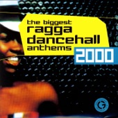 The Biggest Ragga Dancehall Anthems 2000 artwork